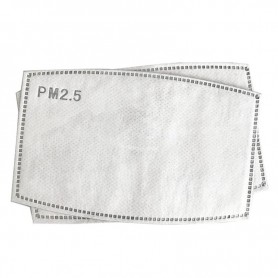 Filtru de protectie PM 2.5