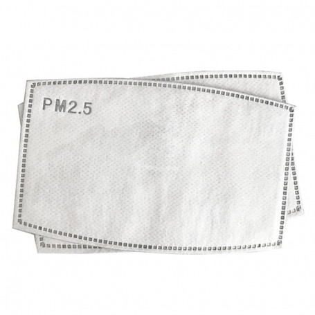 Filtru de protectie PM 2.5